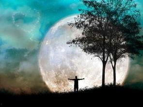 那年月光落满地,那年月光洒满岁月长河