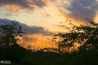 那年月光落满地,那年月光洒满岁月长河